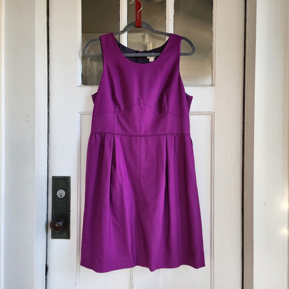 J. Crew Factory Sleeveless Fitted Bodice A-Line Dress in Magenta